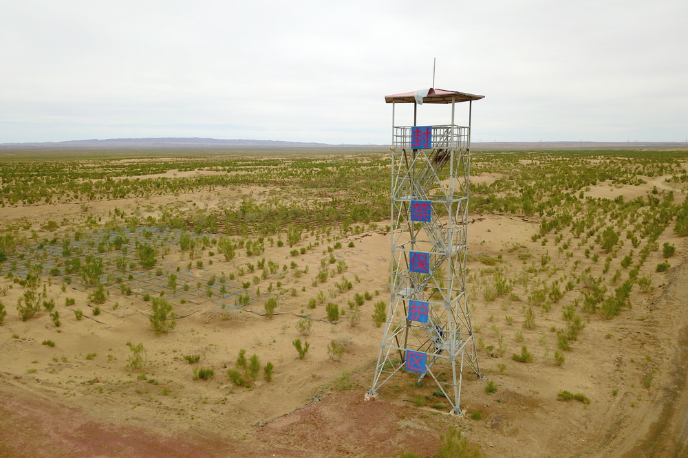 這是6月16日拍攝的臨澤縣北部干旱荒漠沙化土地封禁保護區（無人機照片）。
