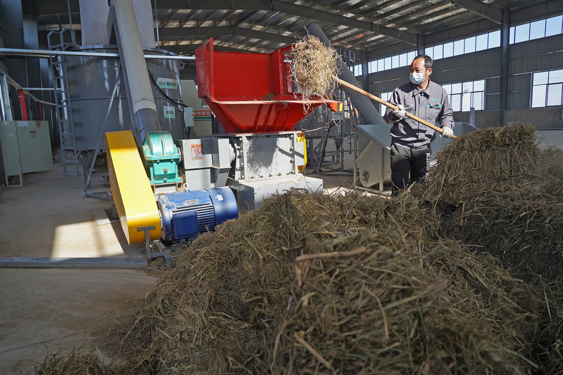 在位於江西省南昌縣蔣巷鎮的南昌大田農社秸稈綜合利用中心，工人在利用秸稈生產有機肥料（1月14日攝）。新華社記者 萬象 攝