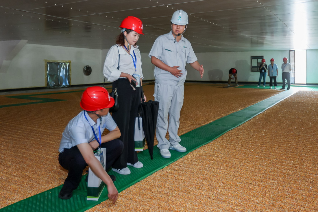 6月24日，工作人员在一处存放玉米的粮仓内为公众介绍如何保障粮食安全。
