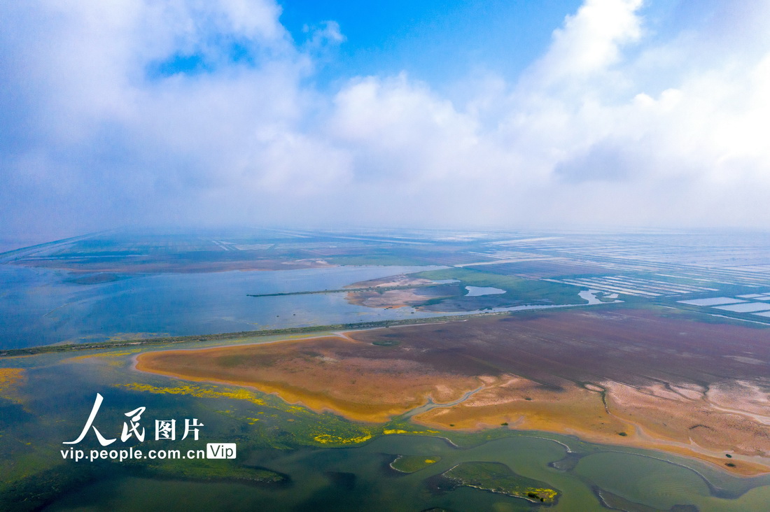 2021年6月28日，俯瞰江蘇鹽城條子泥濕地。