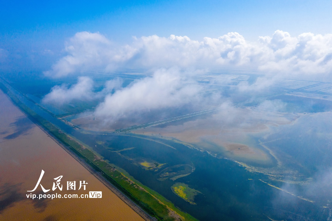 2021年6月28日，俯瞰江蘇鹽城條子泥濕地。