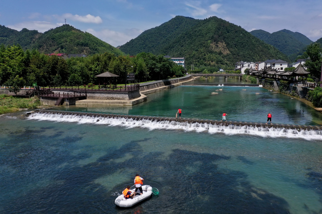 7月6日，杭州市临安区湍口镇迎丰村的“河小二”党员志愿者对塘溪进行日常河道保洁及巡查（无人机照片）。