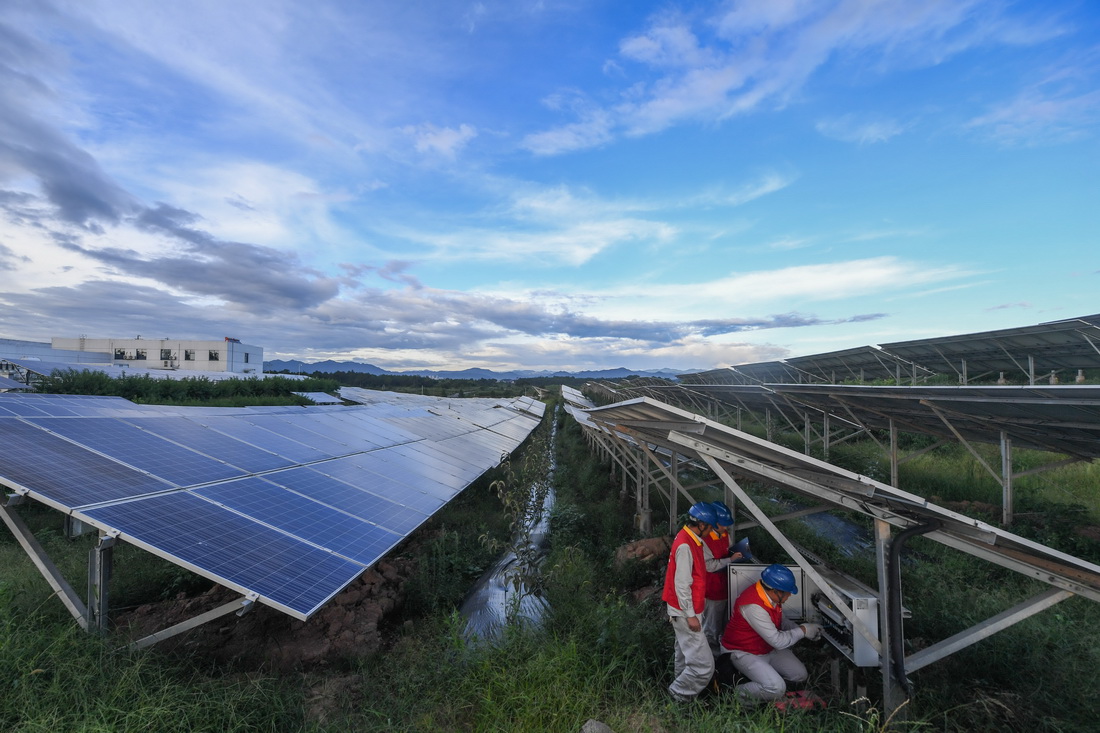 7月6日，工作人员巡查位于东阳市六石街道夏溪潭村附近的50兆瓦农光互补光伏发电项目。