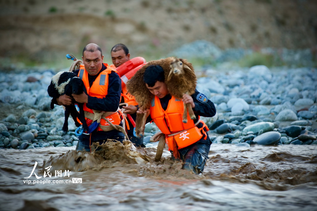 新疆和田：兒童放羊被洪水圍困 民警緊急救援【3】