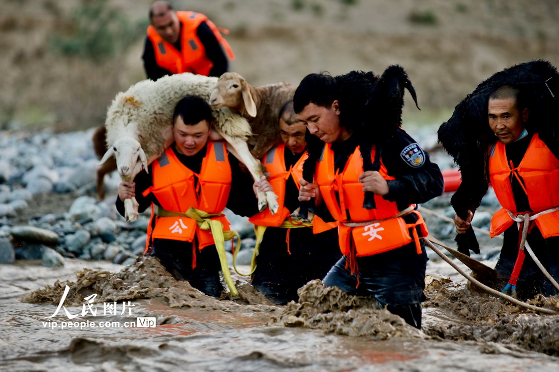 新疆和田：兒童放羊被洪水圍困 民警緊急救援【4】