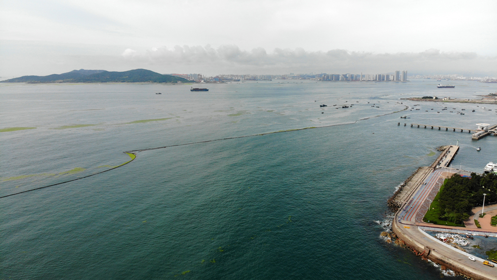 7月6日，船只在海上依靠拦截网清理浒苔（无人机照片）。