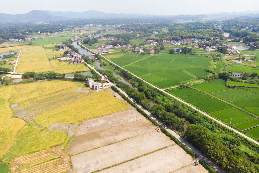 這是7月15日在湖南省湘鄉市育塅鄉南水村拍攝的農田（無人機照片）。新華社記者 陳思汗 攝