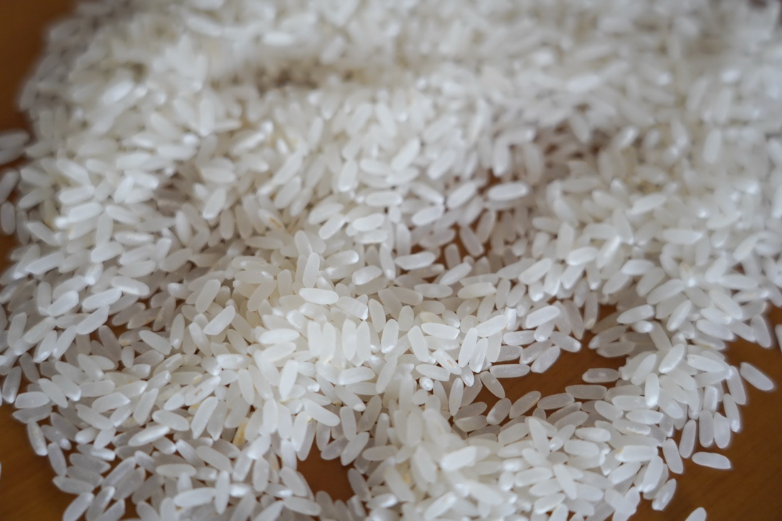 這是“中科發早粳1號”稻谷加工出的大米（7月19日攝）。