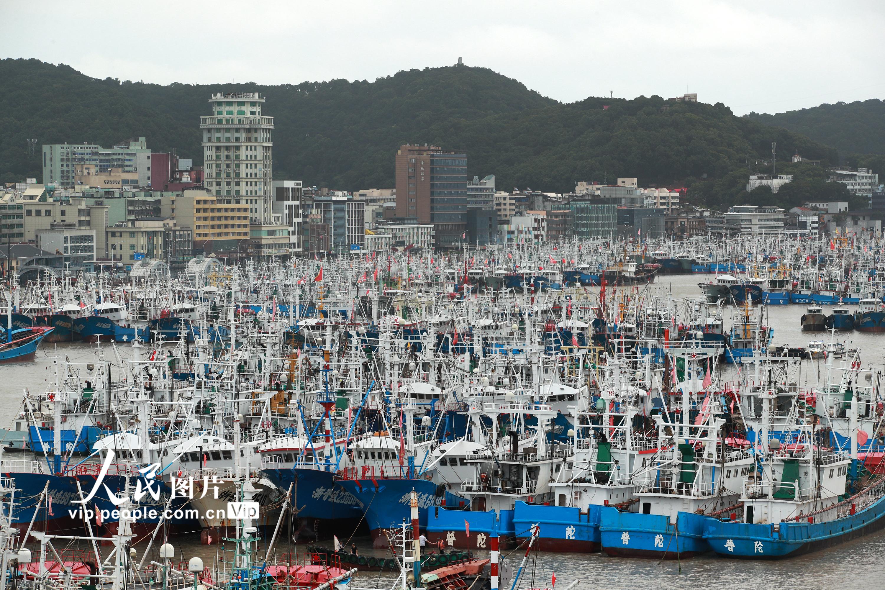 浙江舟山：5500多艘漁船到港避風【5】