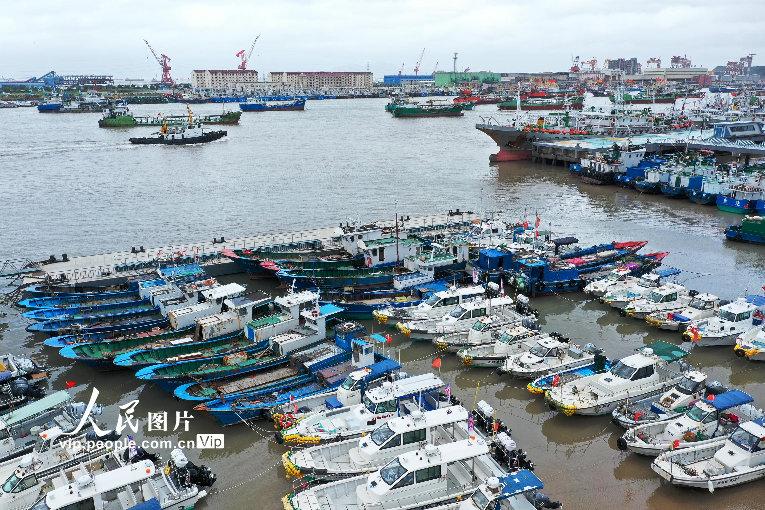 浙江舟山：5500多艘漁船到港避風【3】