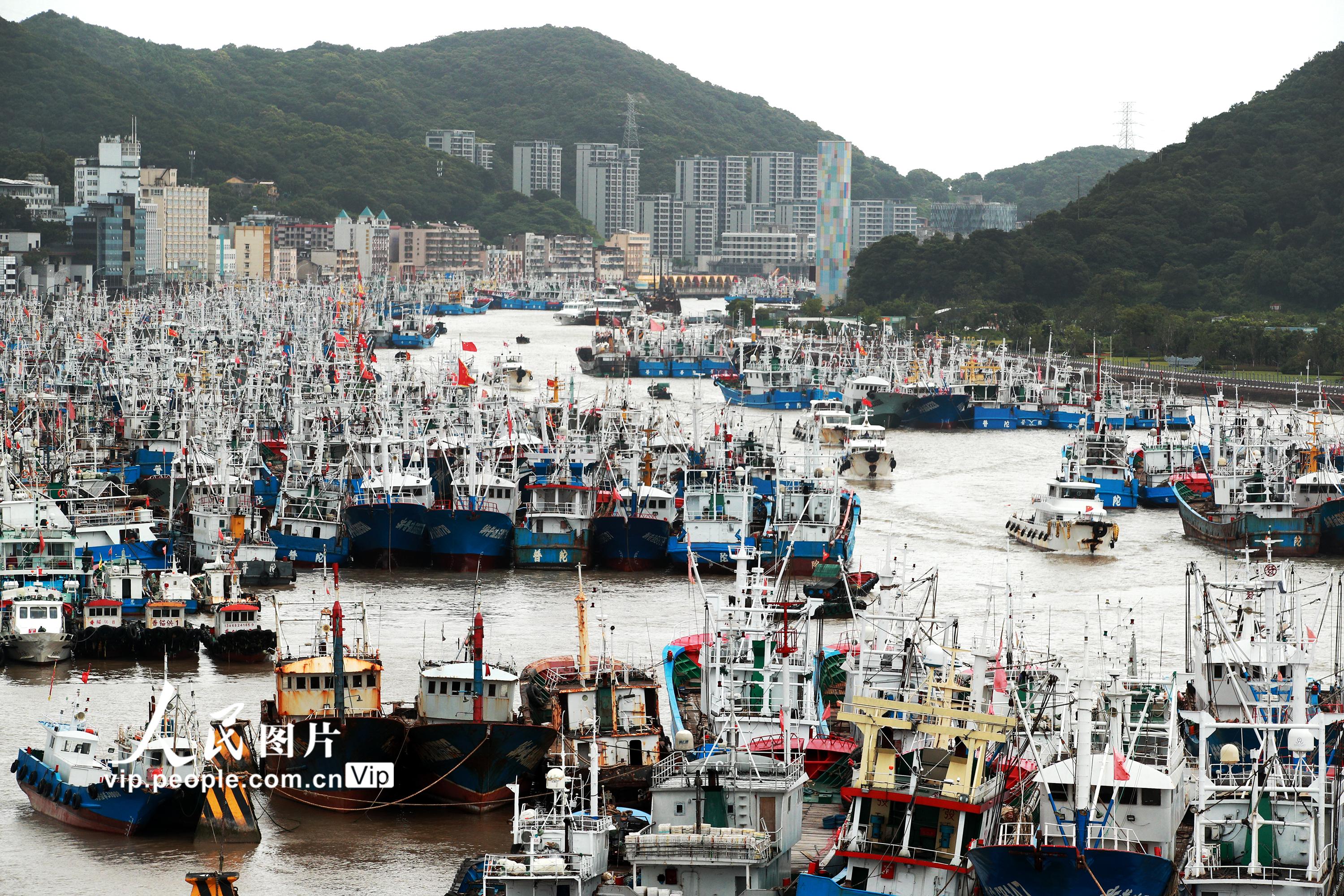 浙江舟山：5500多艘漁船到港避風