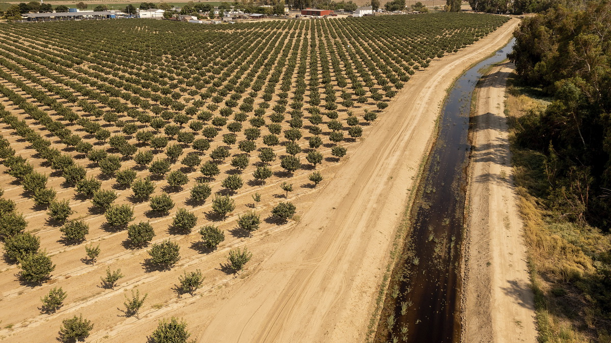 這是6月16日在美國加利福尼亞州拍攝的一條農業灌溉渠。新華社/美聯