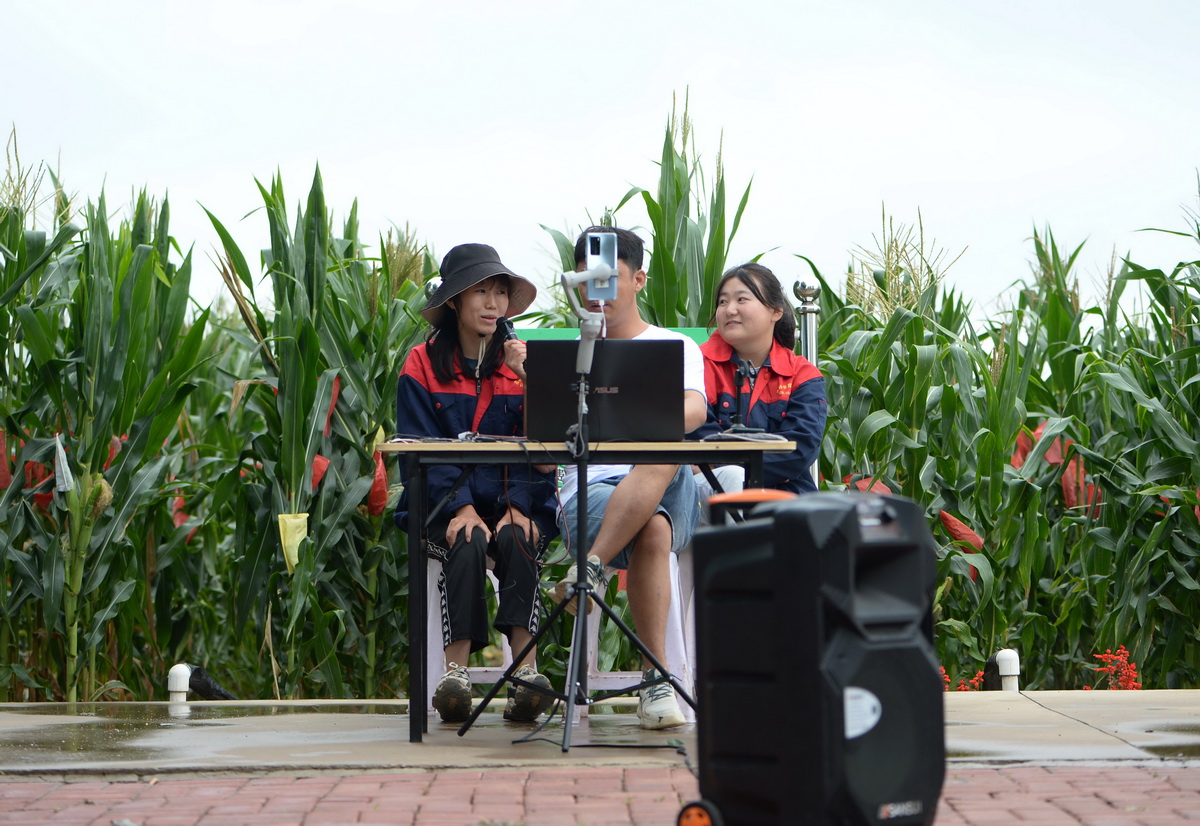 李水英（左）参与一场新品种玉米种子线上推广（8月11日摄）。