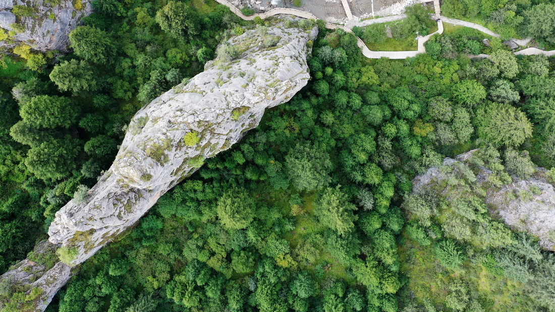 這是9月2日拍攝的則岔石林景區內的森林（無人機照片）。