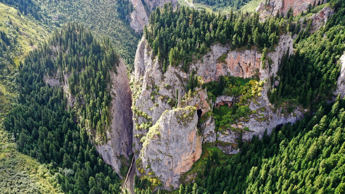这是9月2日拍摄的则岔石林景区内的森林（无人机照片）。