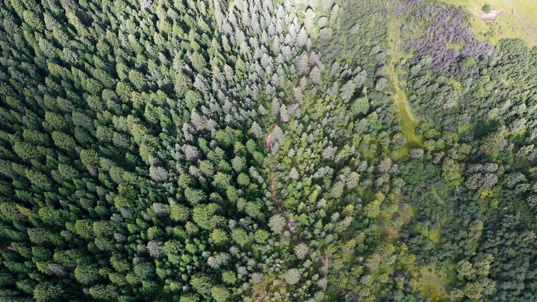 這是9月2日拍攝的則岔石林景區內的森林（無人機照片）。