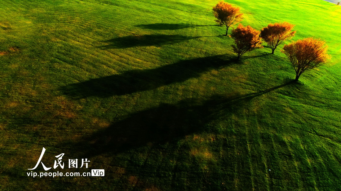 9月2日，無人機拍攝的菖蒲大草原美麗秋景。