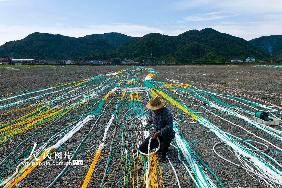 2021年9月5日，浙江省宁波市奉化区桐照村的渔民在岸上织补渔网。