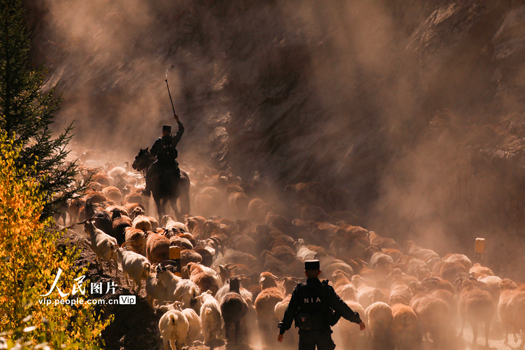 新疆阿勒泰：民警化身“牧羊人”守護千年牧道【2】