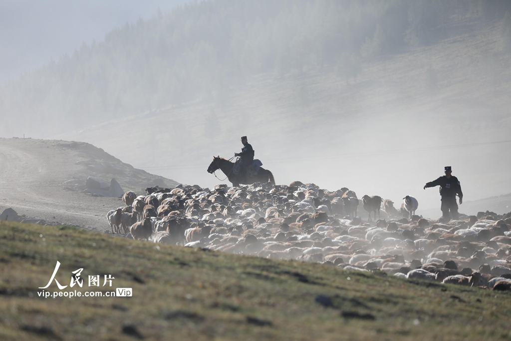 新疆阿勒泰：民警化身“牧羊人”守護千年牧道