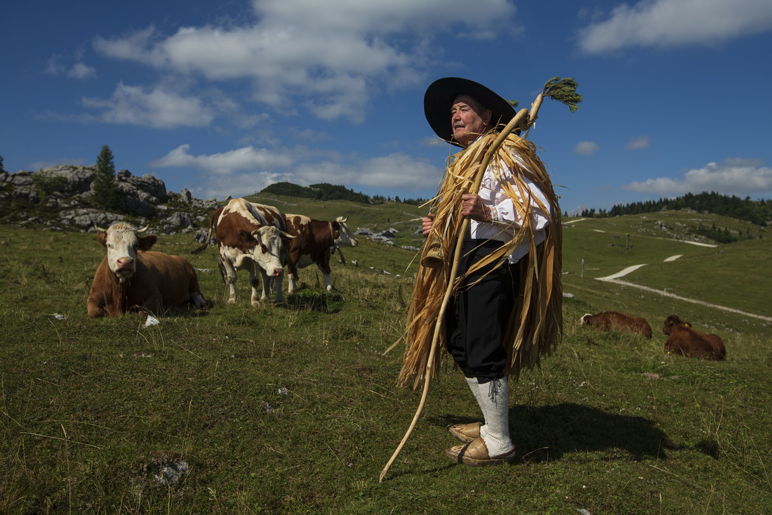 9月8日，斯洛文尼亞維利卡普拉尼那高地的老牧民彼得身著傳統服飾在牧場上遠眺。