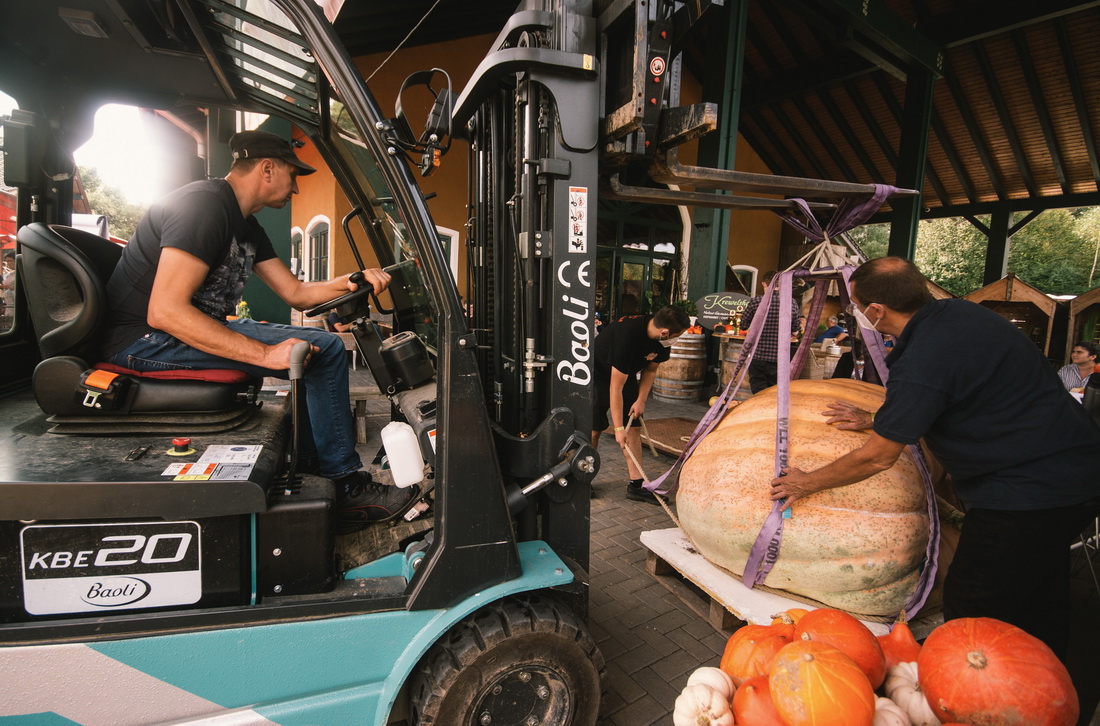 9月12日，在德國洛馬爾傳統南瓜節上，工作人員用鏟車給一個南瓜稱重。