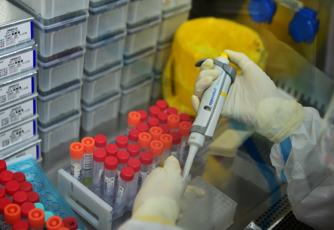 9月14日，在移動PCR方艙實驗室裡，工作人員在進行操作。