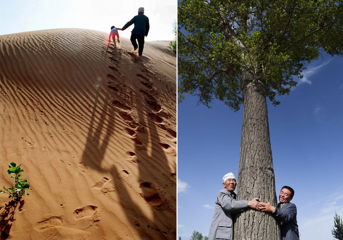 这是一张拼版照片，左图为：1998年8月，榆林市靖边县郭成旺老人带着曾孙行进在沙漠中。老人希望子子孙孙植树造林，直到沙漠都变成绿洲；右图为：2020年5月22日，99岁的郭成旺老人（左）与孙儿郭建军抱着当年栽下的第一棵杨树，向参观者介绍当年植树的情景。1984年，郭成旺承包了离家10公里处的荒沙地，带领全家常年吃住在沙地的简易房里，为4.5万亩沙漠披上了绿装。新华社记者 陶明 摄