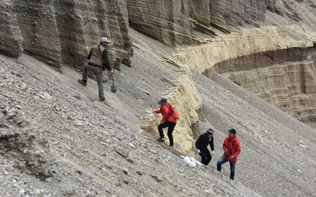 8月27日，科考队员在西藏日喀则市定结县一个垂直地面的沉积剖面工作。新华社记者 杜刚 摄