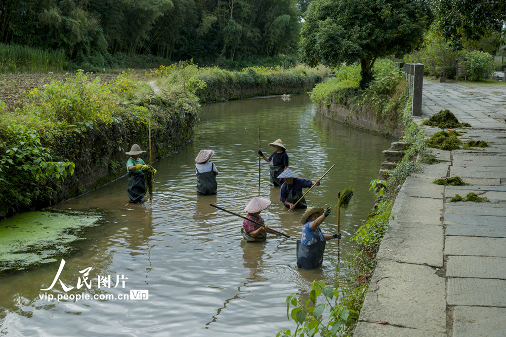 安徽黃山：千年古村清理河道