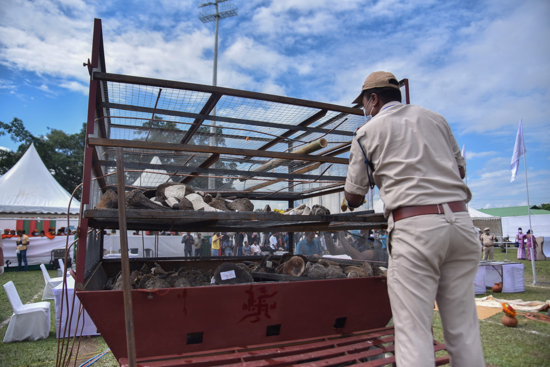 9月22日，在印度阿薩姆邦戈拉卡德地區，工作人員擺放即將被銷毀的犀牛角。