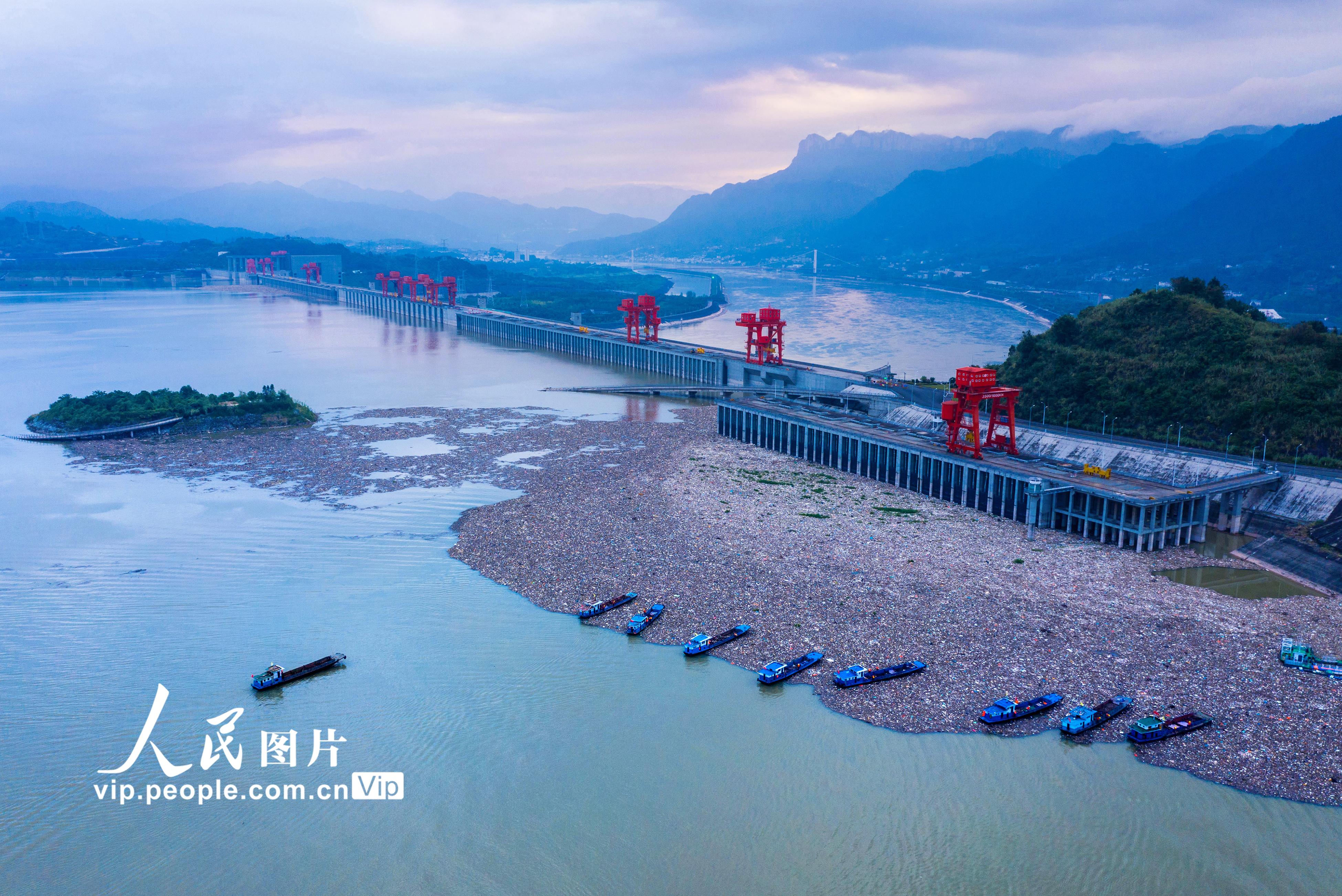 湖北宜昌：三峽壩前清漂忙