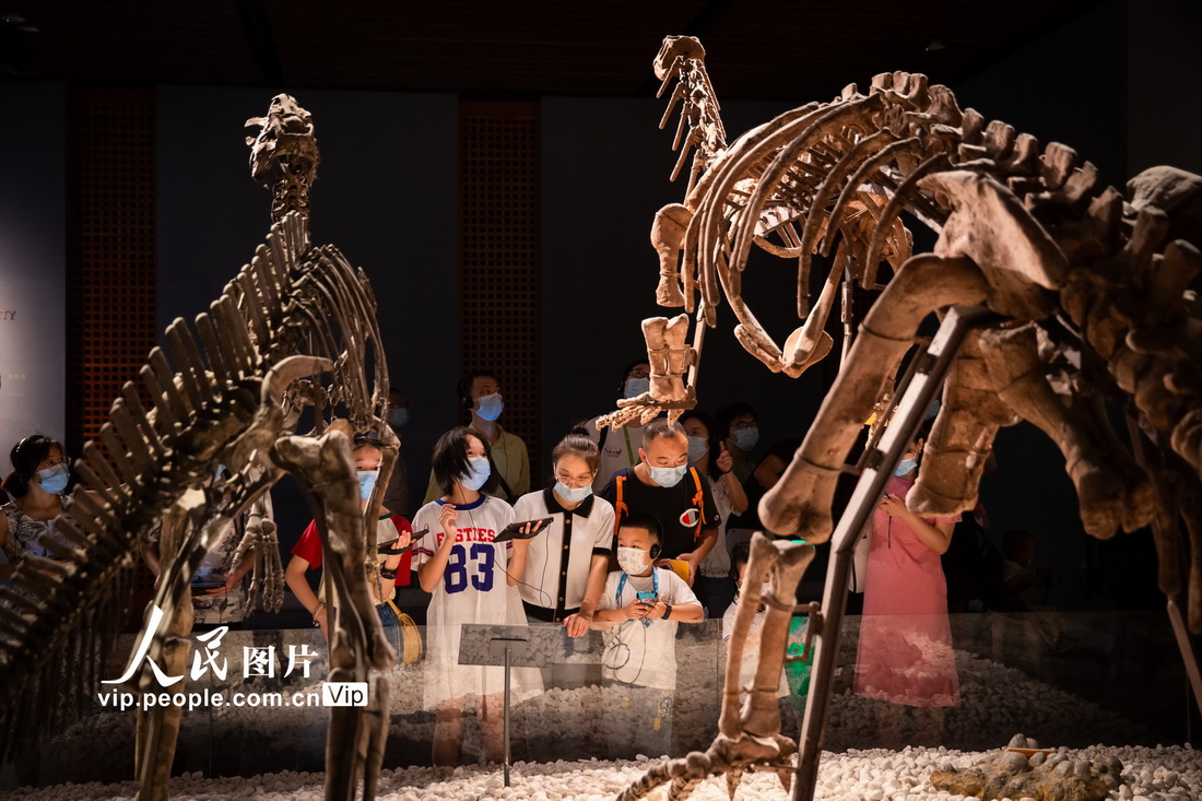 2021年10月3日，觀眾在南京博物院觀看展出的恐龍化石。