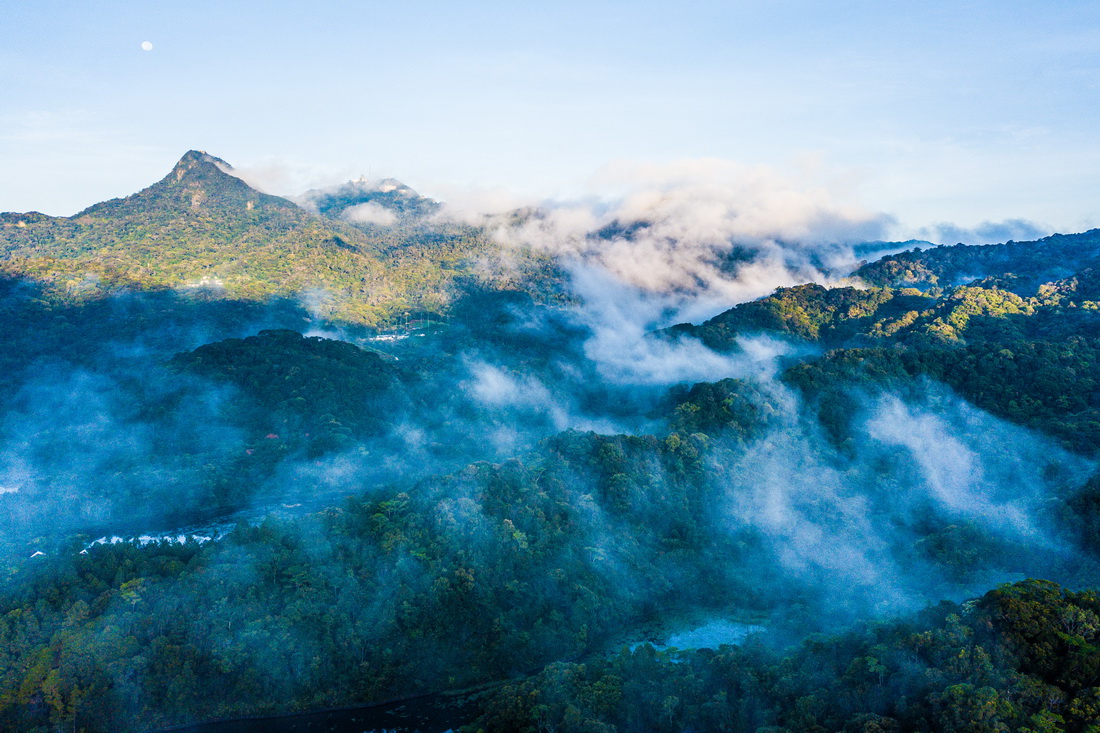 “飛閱”海南熱帶雨林國家公園
