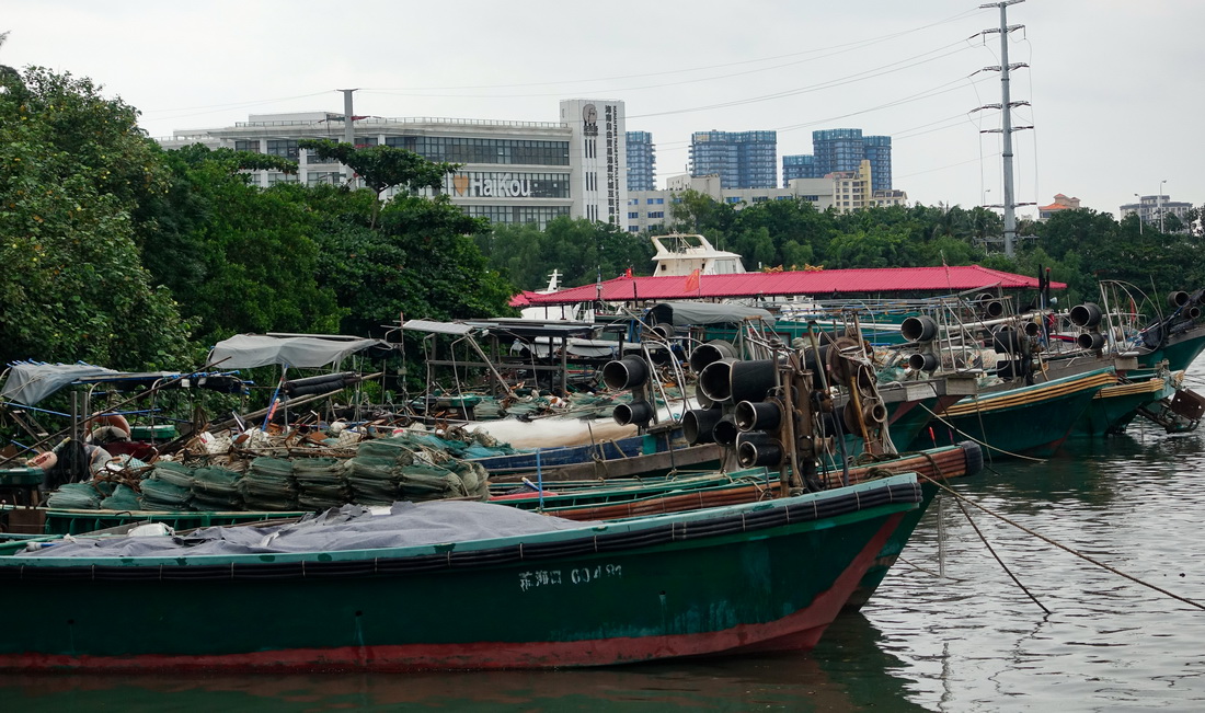 10月13日，漁船停靠在海口市龍珠灣避風。新華社記者 楊冠宇 攝