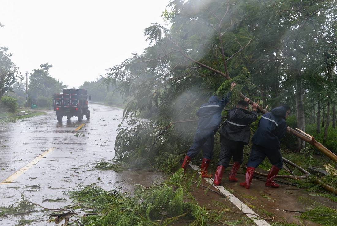 10月13日，在萬寧市山根鎮，工作人員清理被台風刮倒的大樹。新華社記者 周佳誼 攝