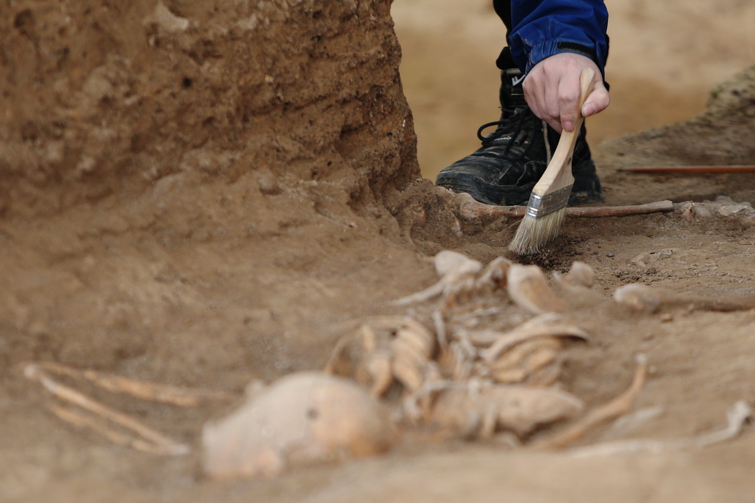工作人員在仰韶村遺址第四次考古發掘現場作業（10月15日攝）。新華社記者 許雅楠 攝