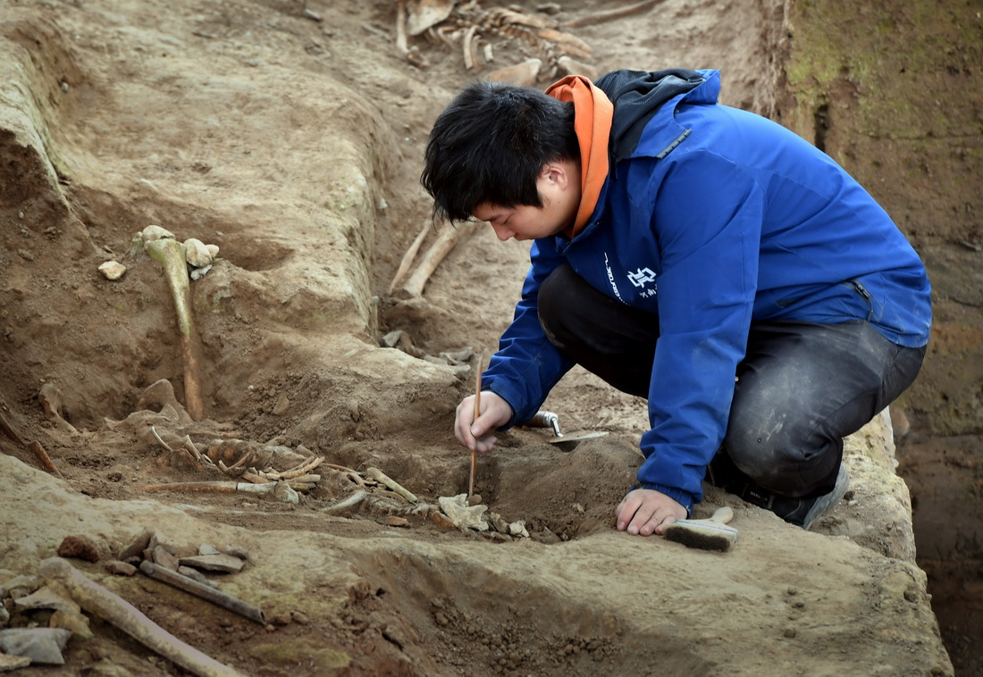 工作人員在仰韶村遺址第四次考古發掘現場作業（10月15日攝）。新華社記者 李安 攝