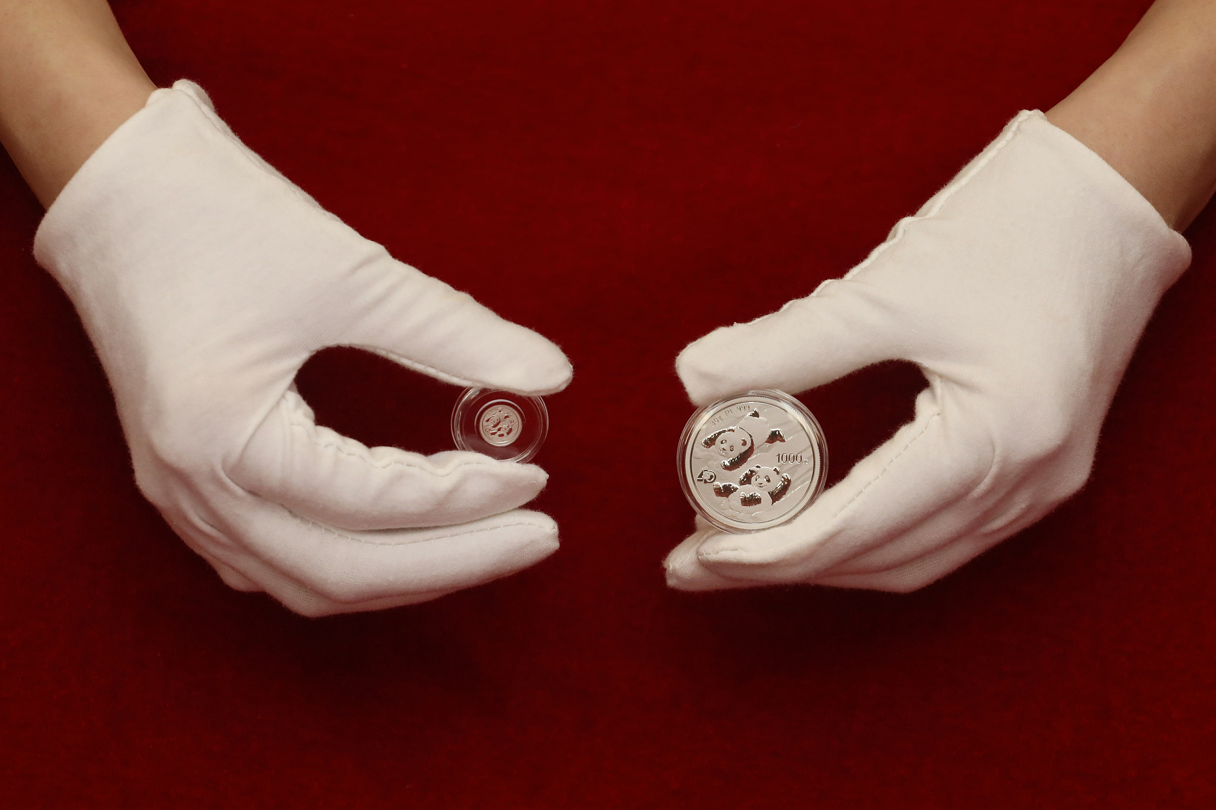 2021年10月18日，工作人員正在展示此次發行的熊貓金銀幣。