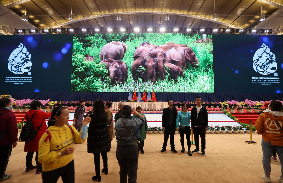 10月18日，市民在昆明滇池國際會展中心內COP15的主會場拍照參觀。