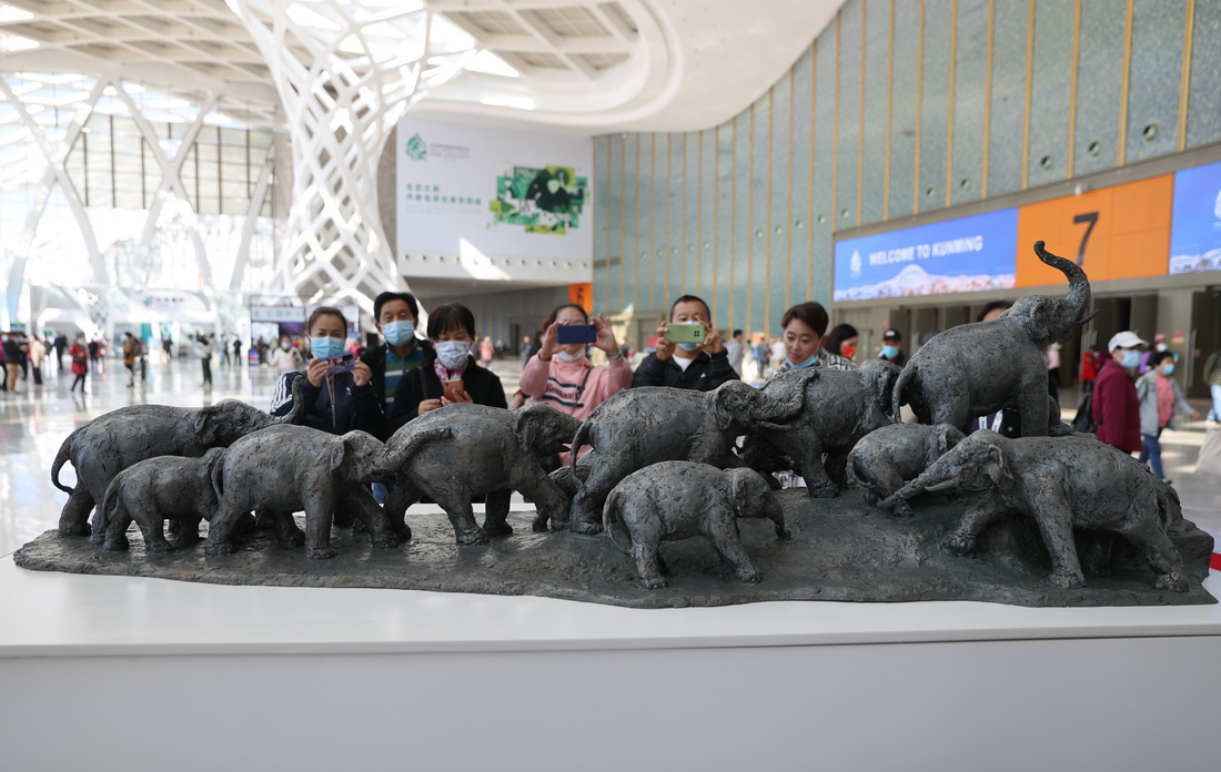 10月18日，市民在昆明滇池國際會展中心內觀看COP15主題雕塑《生物的長城脊》。 