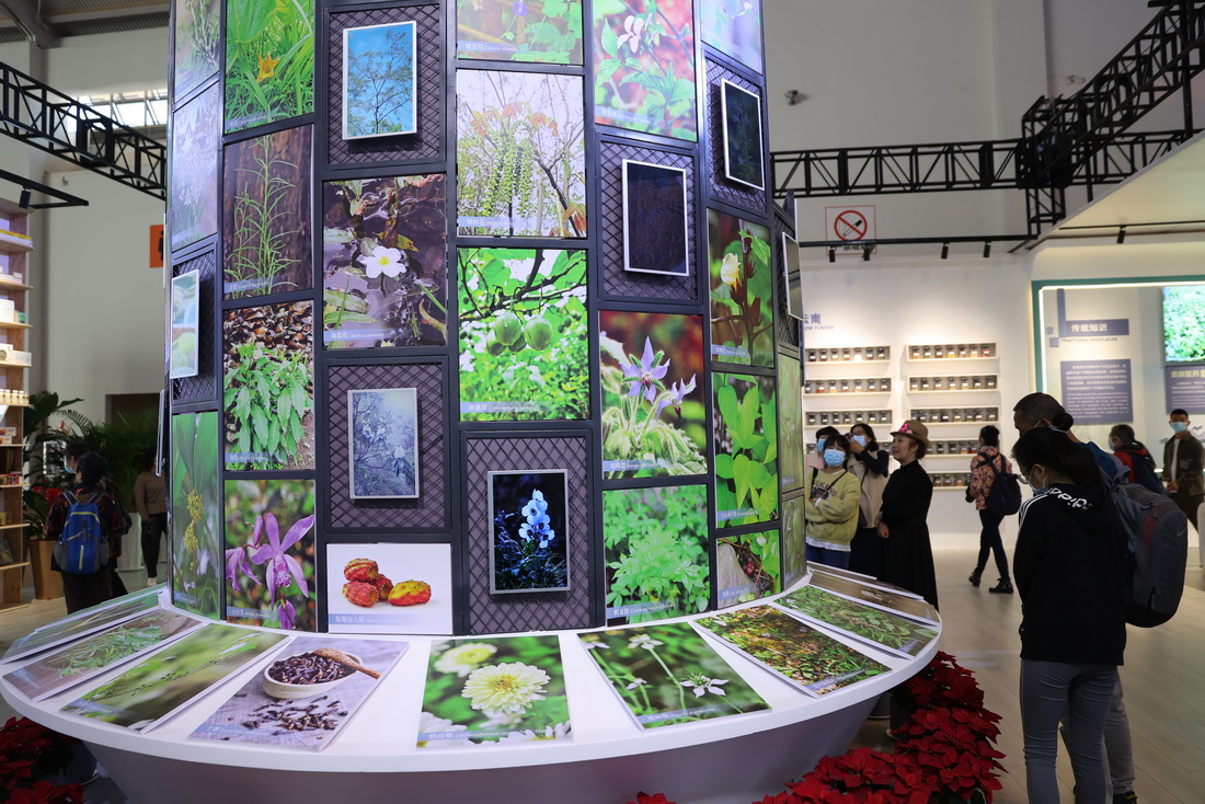 10月18日，市民在昆明滇池國際會展中心內參觀“雲南生物多樣性保護實踐與成果展”。