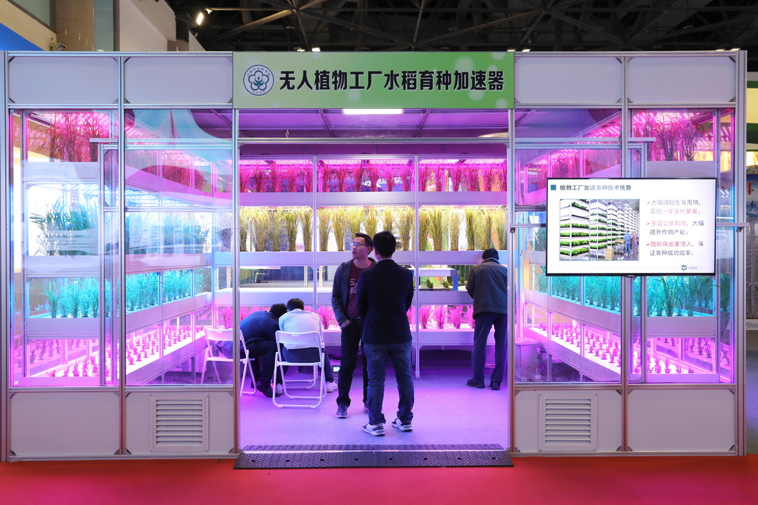 10月21日，觀眾在北京展覽館參觀科技創新成就展展出的無人植物工廠水稻育種加速器。新華社記者 金立旺 攝