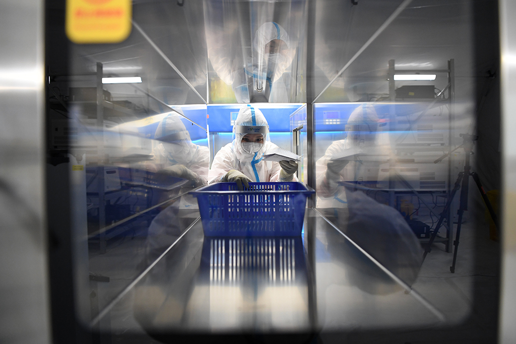 10月24日，“獵鷹號”硬氣膜實驗室工作人員普臣惠在樣本處理區作業。