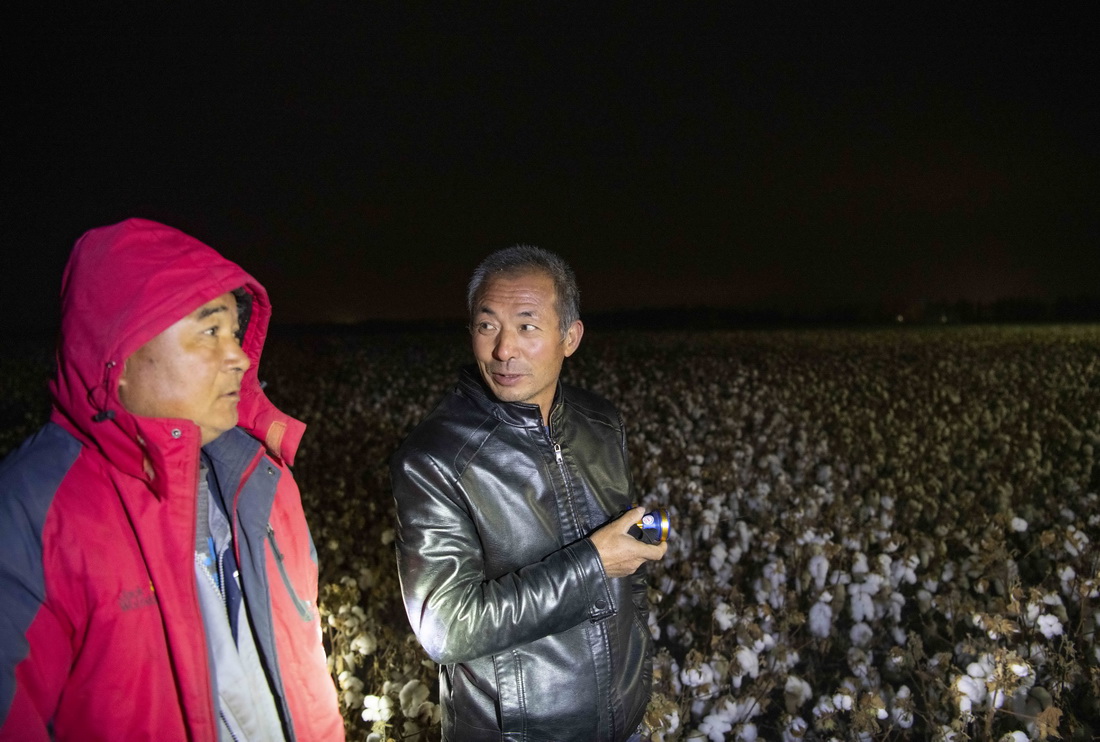 在新疆塔城地區沙灣市大泉鄉三道溝村，夜幕降臨后，陸高林（右）在等待採棉機轉場，並與採棉機老板商量棉花採收進展（10月22日攝）。