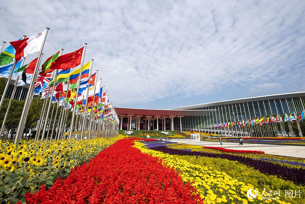 11月4日，國家會展中心（上海）南廣場，大型花壇鮮花怒放，各國國旗迎風招展。人民網記者 翁奇羽攝