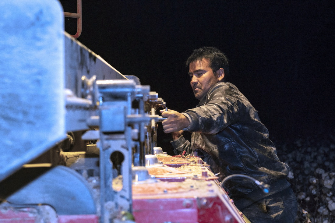 在新疆沙雅縣托依堡勒迪鎮的一處棉田裡，艾買爾·艾則孜在調整採棉機機頭間距，清理夾雜在裡面的棉花枝葉，使採棉機恢復正常工作（10月25日攝）。