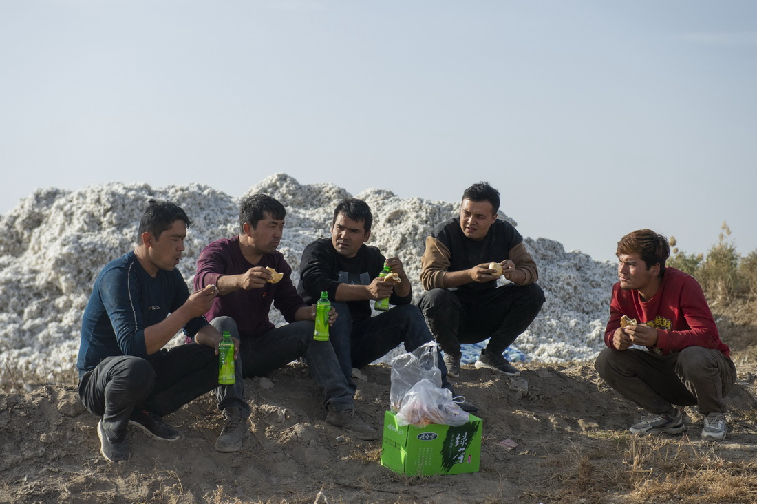 在新疆沙雅縣托依堡勒迪鎮的一處棉田裡，艾買爾·艾則孜（左三）和同伴們在吃午餐，身后堆著他們一上午採收的棉花（10月27日攝）。