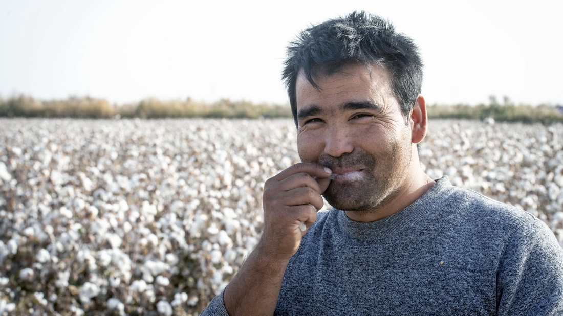 艾买尔・艾则孜在新疆沙雅县盖孜库木乡自家的棉田里，摘下一朵棉花含在嘴里（10月25日摄）。