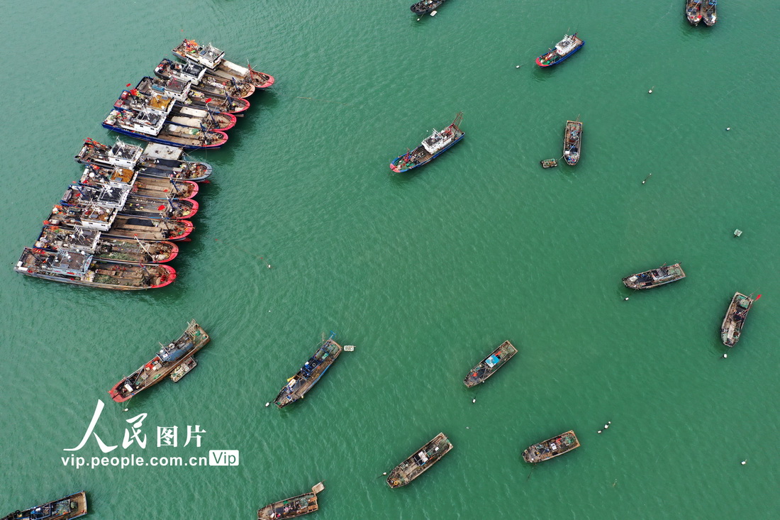 2021年11月7日，在连云港市连云区连岛渔港内，大批捕捞渔船停泊在港湾避风。